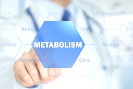 Ways to Improve Your Metabolism